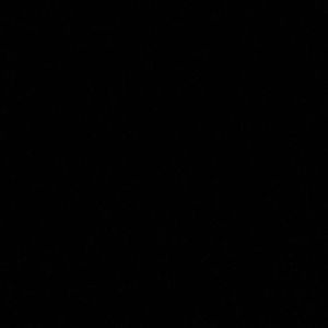 Meet your Posher, Tran